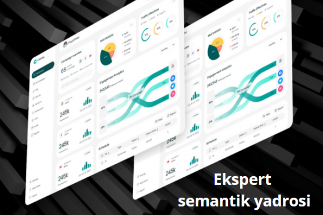 Ekspert semantik yadrosi 1