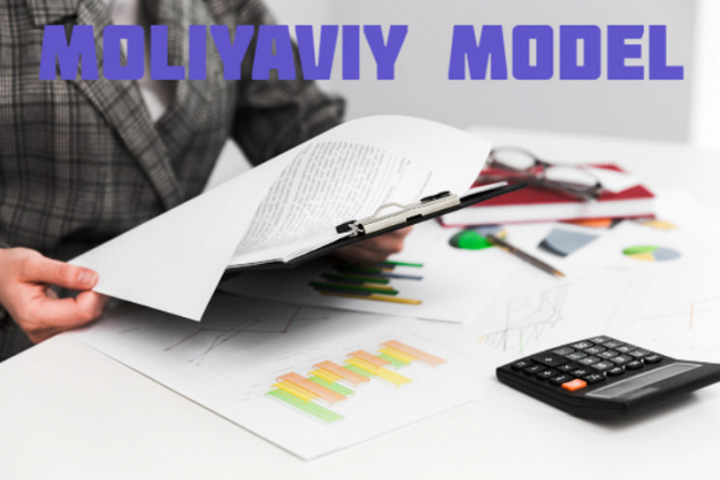 Kochmas mulk agentligi uchun moliyaviy model 1