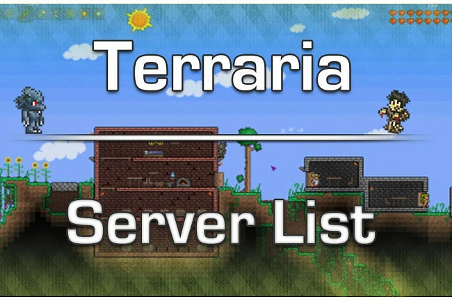 Terraia uchun server yasab beraman 1