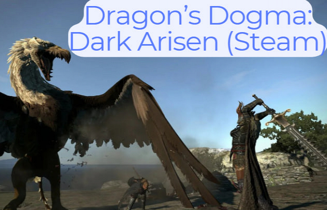Dragons Dogma- Dark Arisen-Steam 1