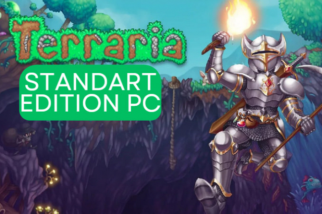 Terraria Standard Edition - PC da 1