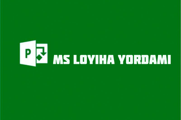 MS loyiha boyicha yordami 1