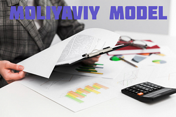 Kochmas mulk agentligi uchun moliyaviy model