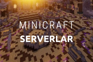 Loyihani ishlab chiqish, Minecraft serveri