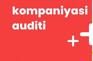 Yandex direktda reklamalar auditi