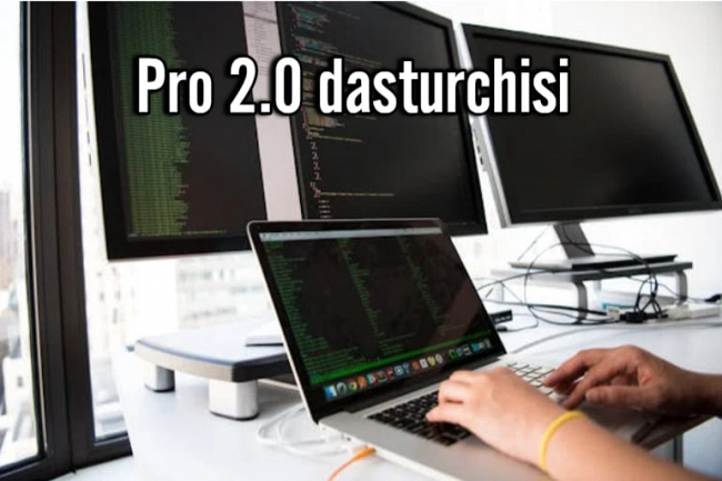 Pro 2.0 Developer Dasturchisi