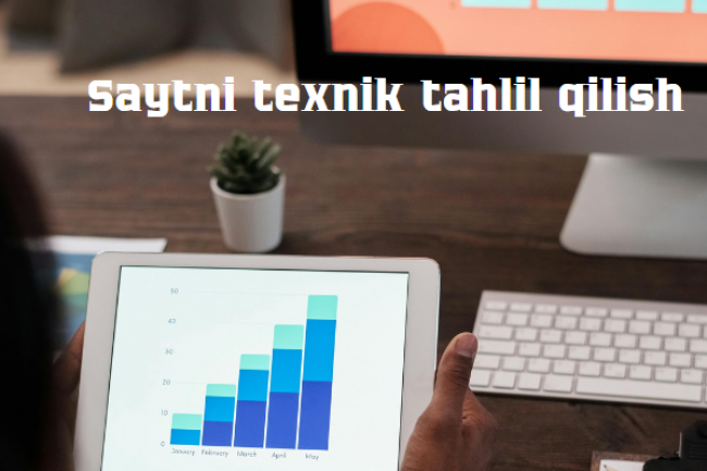 Saytni texnik tahlil qilish