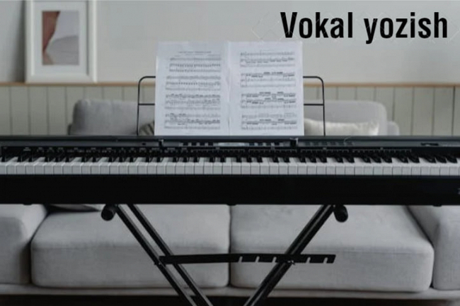 Sizning musiqiy ishingiz uchun vokal yozaman