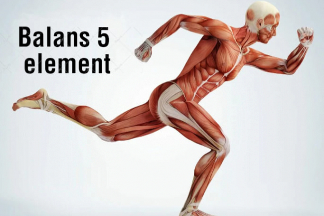 Balans 5 ta element