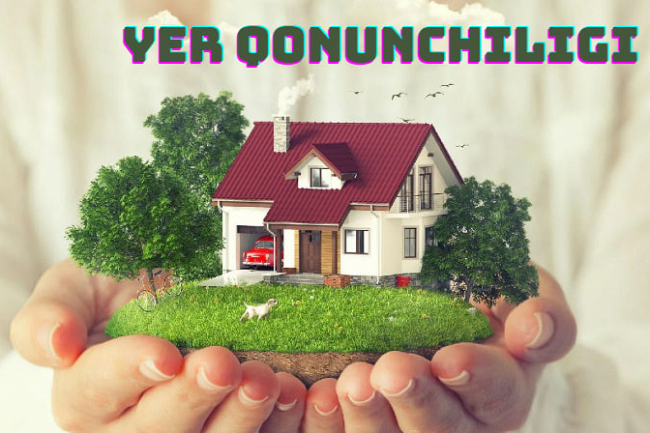 Men yer qonunchiligi masalalari boyicha maslahat beraman