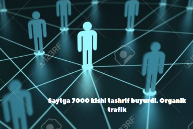 Saytga 7000 kishi tashrif buyurdi. Organik trafik