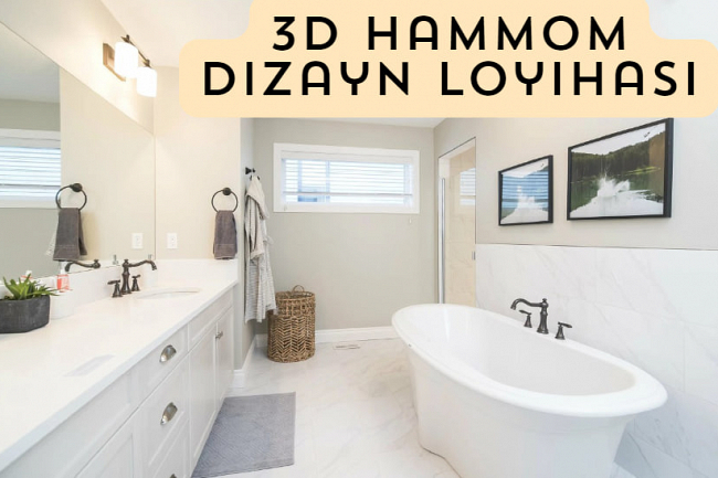 3 d hammom dizayn loyihasi