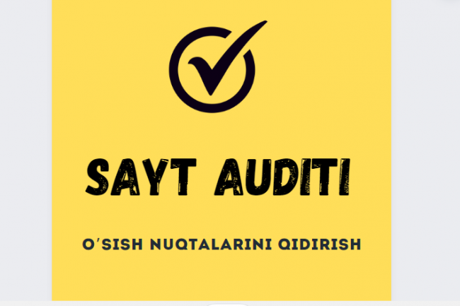 Saytning SEO auditi. Qol tahlili. Kotarilish nuqtalarini qidirish