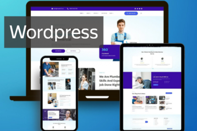 saytni ishlab chiqish SEO va Wordpress bilan ishlash boyicha maslahat