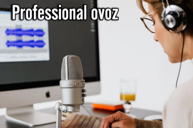 Matnning professional ovozi