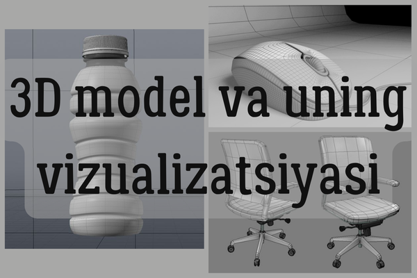 3D model va uning vizualizatsiyasi