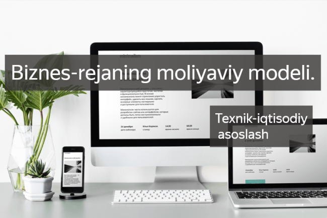 Biznes-rejaning moliyaviy modeli. Texnik-iqtisodiy asoslash