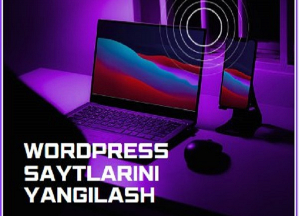 Wordpressni va pluginlarni yangilash&nbsp;
