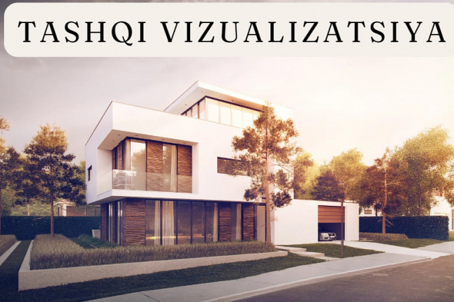 Tashqi vizualizatsiya