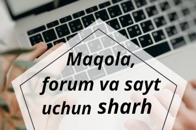Maqola, forum va sayt uchun 10 ta sharh yozib beraman