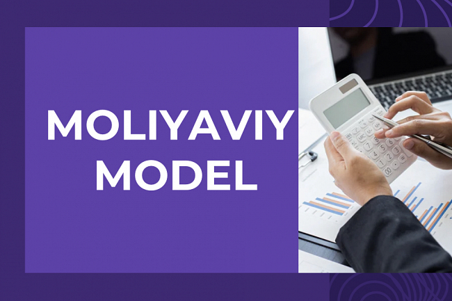 Loyiha biznes yoki biznes-reja uchun moliyaviy model