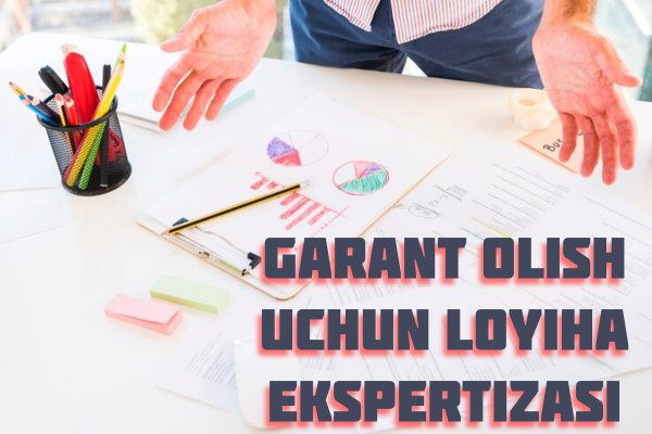 Grant olish uchun loyiha ekspertizasi