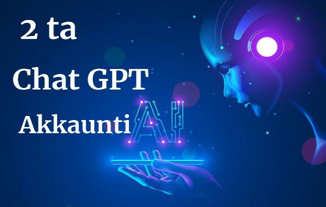 2 ta Chat GPT akkaunti