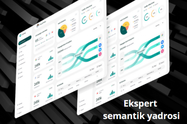 Ekspert semantik yadrosi