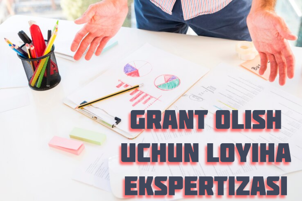 Grant olish uchun loyiha ekspertizasi
