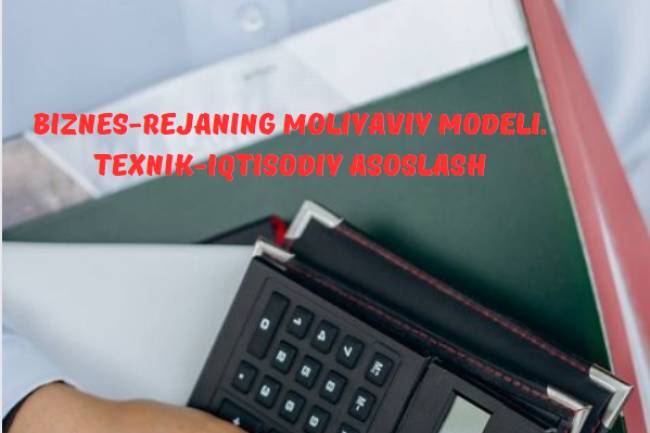 Biznes-rejaning moliyaviy modeli. Texnik-iqtisodiy asoslash