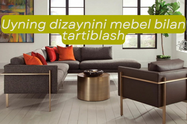 Uyning, kvartiraning dizaynini mebel bilan tartiblab beraman