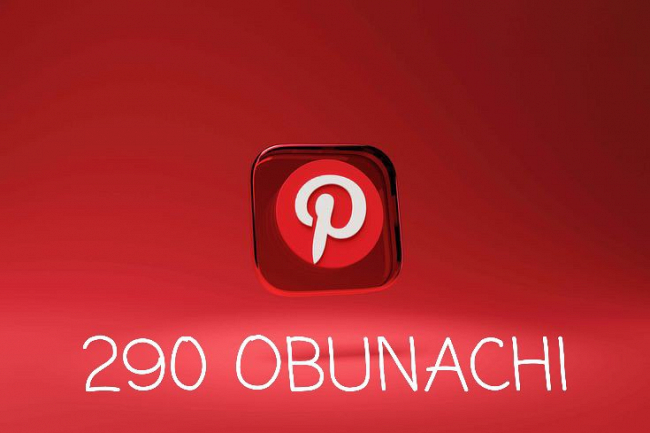 290 ta Pinterest obunachi. Pinterest targiboti