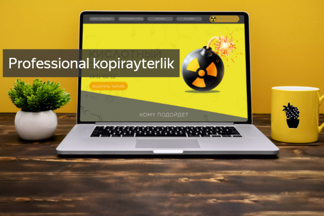 Professional kopirayterlik. Matnlarni yozish